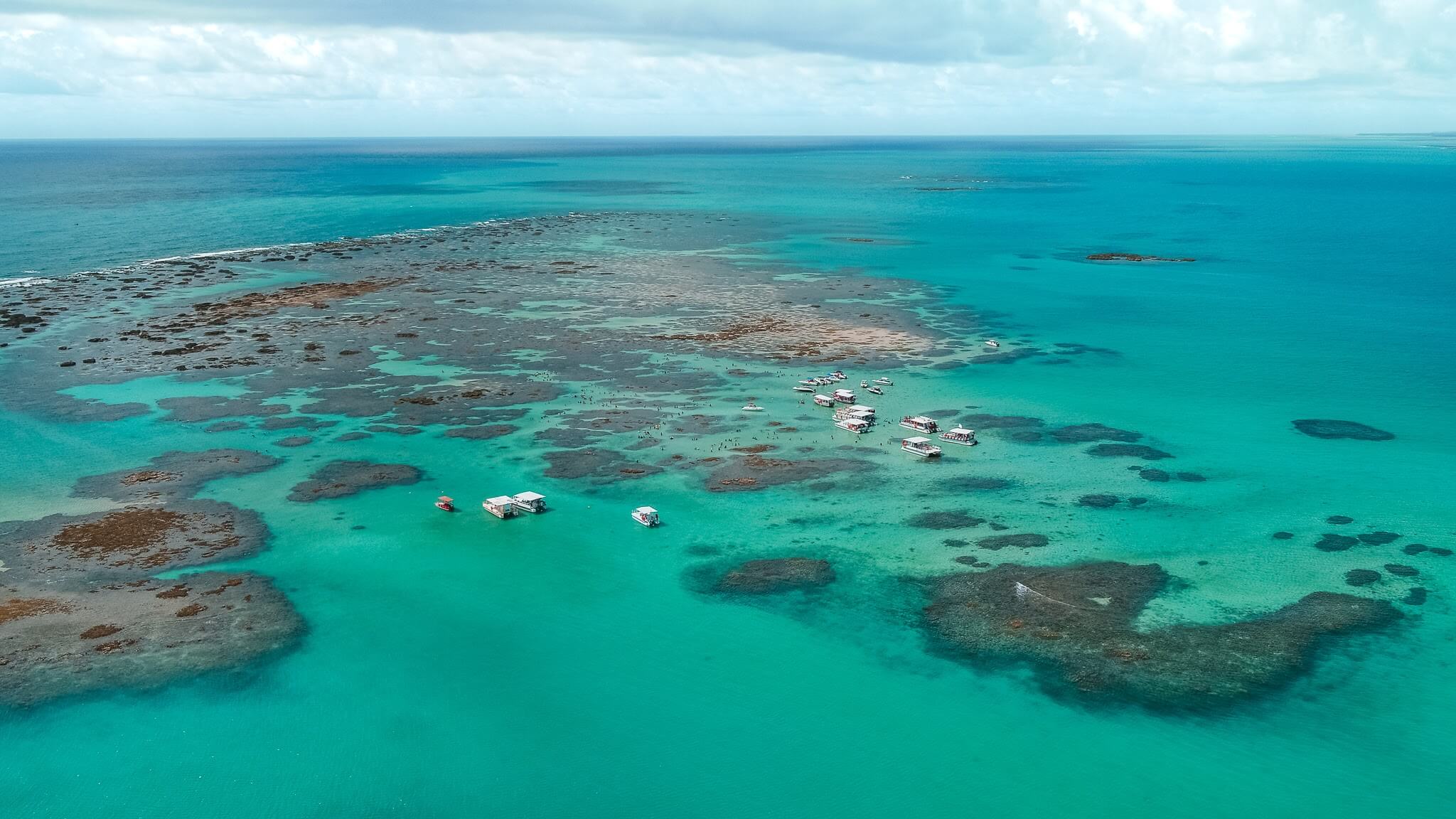 ALV Turismo Background